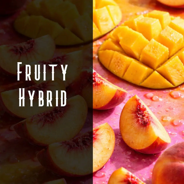 Mango Tango Terpene Blend Denver Terpenes Shop