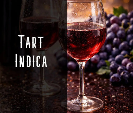 Merlot Terpene Blend Denver Terpenes Shop