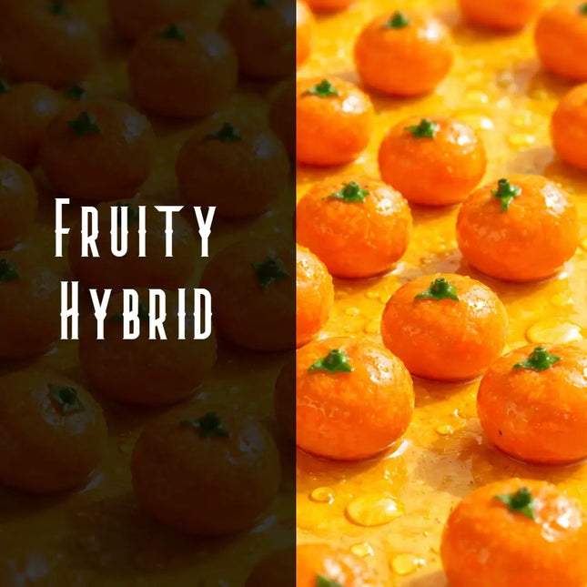Orange Runtz Terpene Blend Denver Terpenes Shop