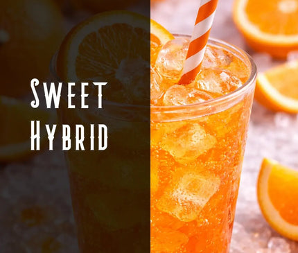 Orange Soda Terpene Blend Denver Terpenes Shop