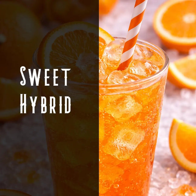 Orange Soda Terpene Blend Denver Terpenes Shop