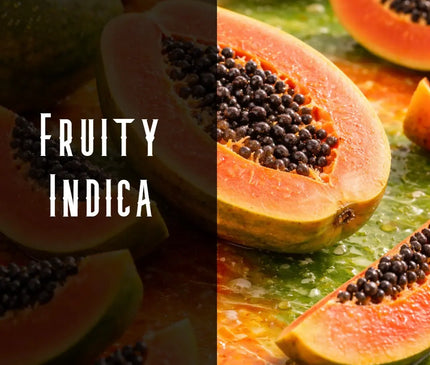 Papaya Terpene Blend Denver Terpenes Shop