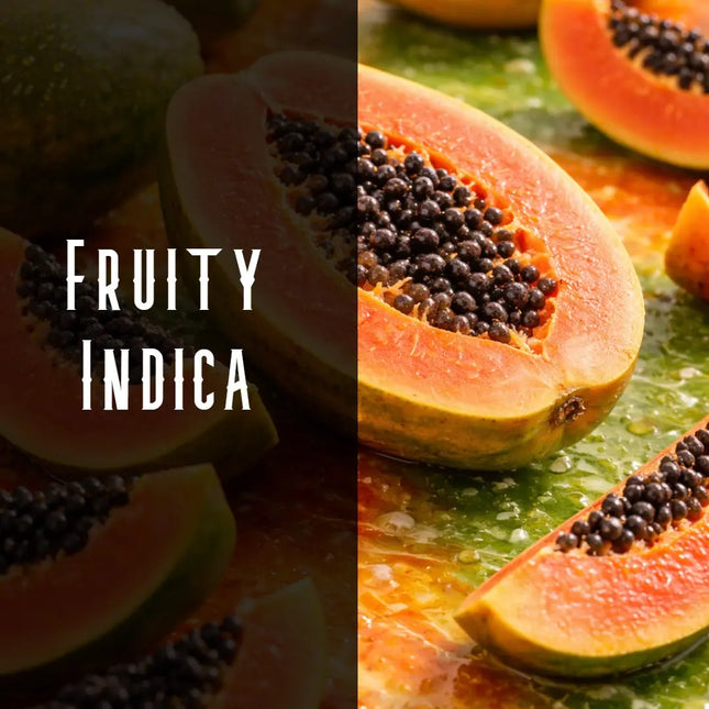 Papaya Terpene Blend Denver Terpenes Shop