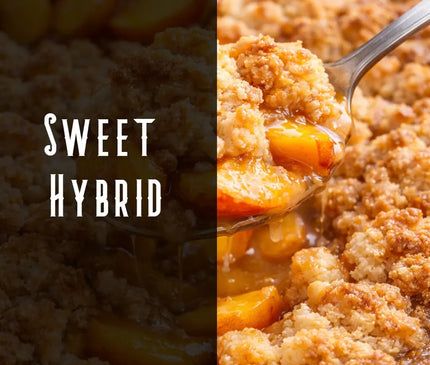 Peach Cobbler Terpene Blend Denver Terpenes Shop