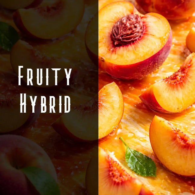 Peach OG Terpene Blend Denver Terpenes Shop