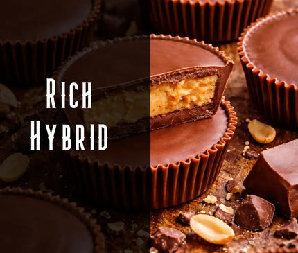 Peanut Butter Cup Terpene Blend Denver Terpenes Shop
