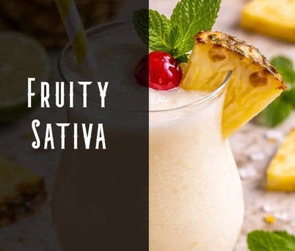 Pina Colada Terpene Blend Denver Terpenes Shop
