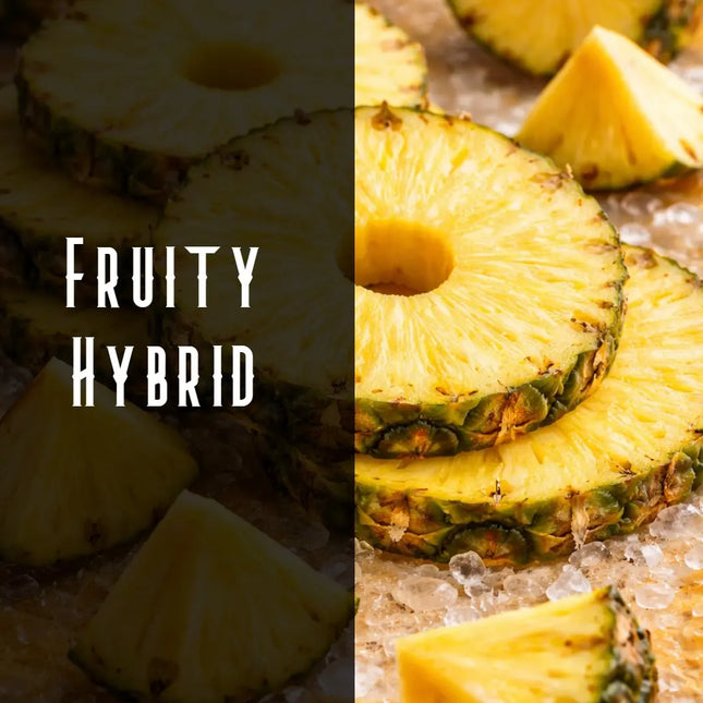 Pineapple Express Terpene Blend Denver Terpenes Shop