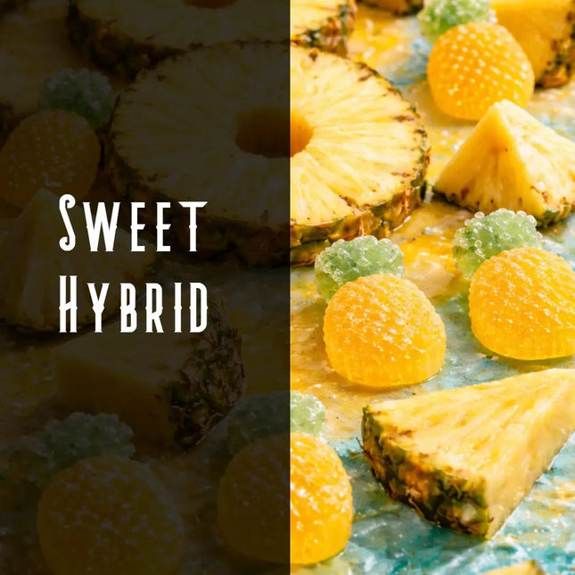 Pineapple Kush Terpene Blend Denver Terpenes Shop