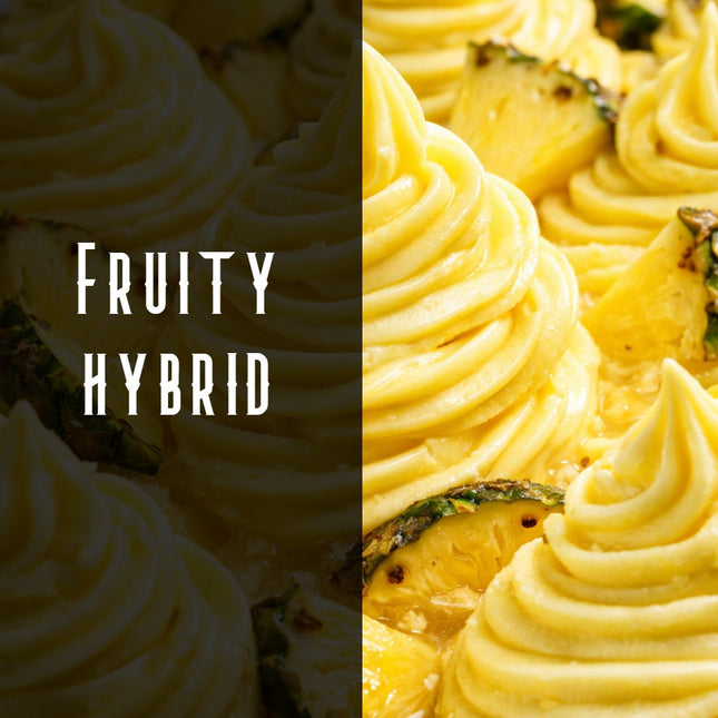 Pineapple Sorbet Terpene Blend