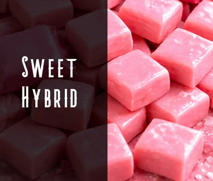 Pink Burst Terpene Blend Denver Terpenes Shop