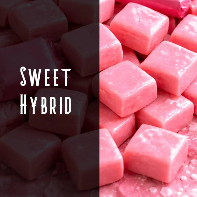Pink Burst Terpene Blend Denver Terpenes Shop