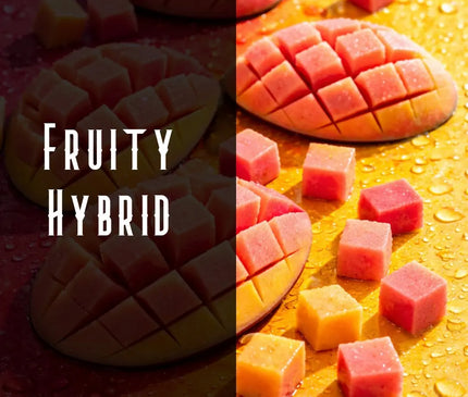 Pink Mango Terpene Blend Denver Terpenes Shop