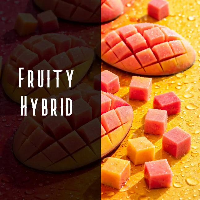 Pink Mango Terpene Blend Denver Terpenes Shop