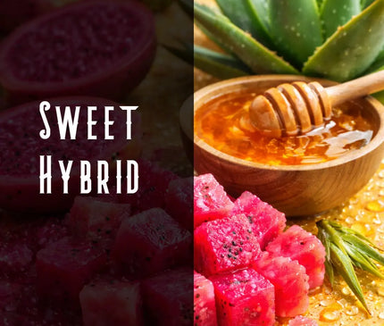 Prickly Pear Terpene Blend Denver Terpenes Shop
