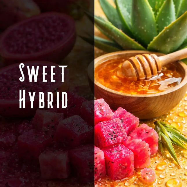 Prickly Pear Terpene Blend Denver Terpenes Shop