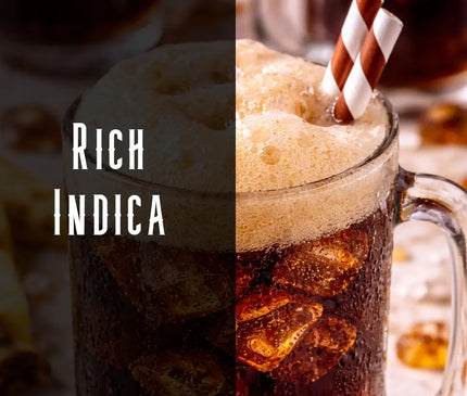 Root Beer Terpene Blend Denver Terpenes Shop