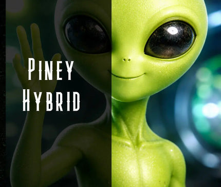 Sour Alien Terpene Blend Denver Terpenes Shop