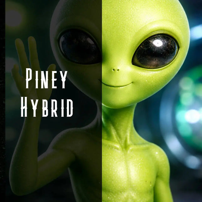 Sour Alien Terpene Blend Denver Terpenes Shop