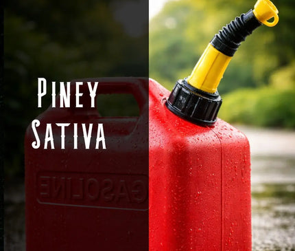 Sour Diesel Terpene Blend Denver Terpenes Shop