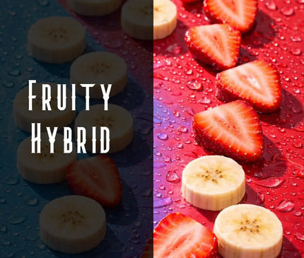 Strawberry Banana Terpene Blend Denver Terpenes Shop