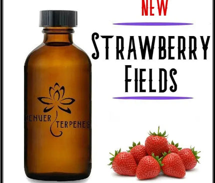 Sugar Rush Sample Pack Denver Terpenes