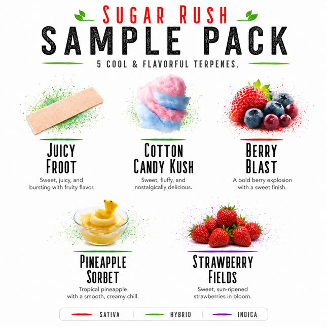 Sugar Rush Sample Pack Denver Terpenes