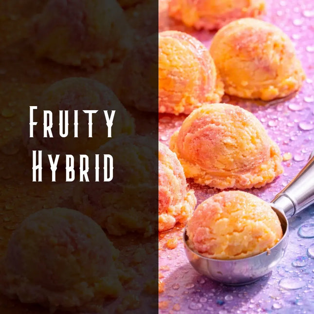 Sunset Sherbert Terpene Blend Denver Terpenes Shop