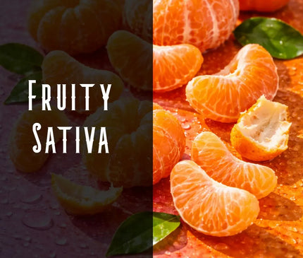 Tangie Terpene Blend Denver Terpenes Shop