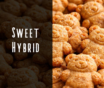 Teddy Gramz Terpene Blend