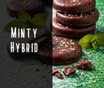 Thin Mint Terpene Blend Denver Terpenes Shop