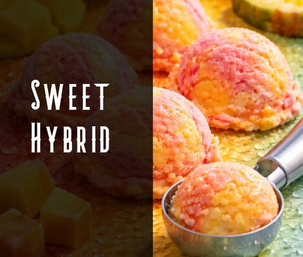 Tropical Sherbet Terpene Blend Denver Terpenes Shop