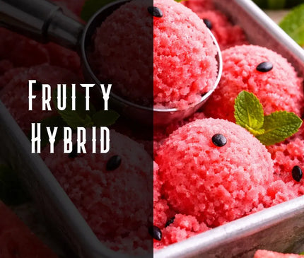 Watermelon Sorbet Terpene Blend Denver Terpenes Shop