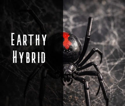 White Widow Terpene Blend Denver Terpenes Shop