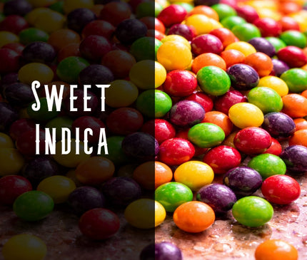 Zkittlez Terpene Blend