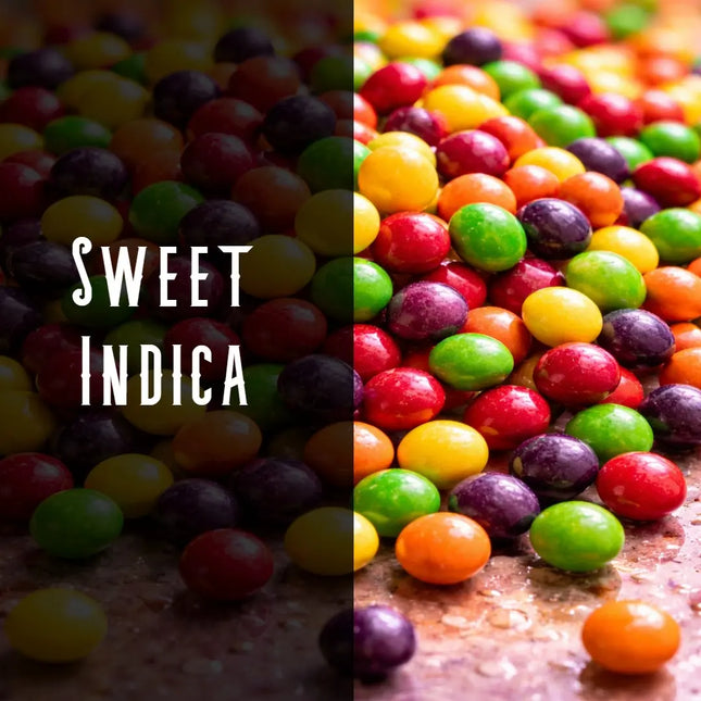 Zkittlez Terpene Blend Denver Terpenes Shop