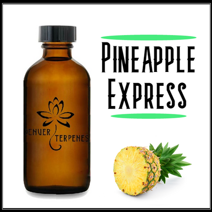 Pineapple Express Terpene Blend