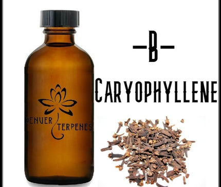 B Caryophyllene Natural