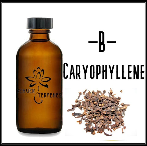 B Caryophyllene Natural