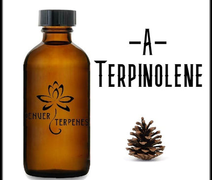 A Terpinolene Natural