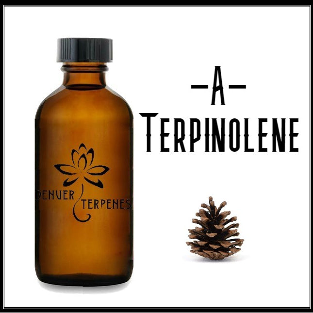 A Terpinolene Natural